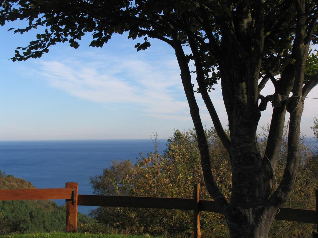 Igeldo Villa Orio Exterior photo